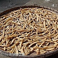 23表哥的菜園 白蘿蔔干.jpg