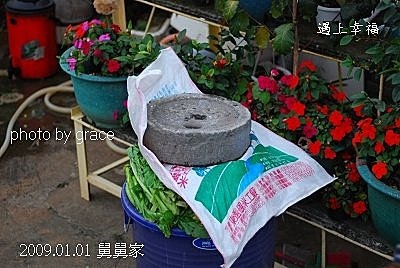 51表哥的菜園.jpg