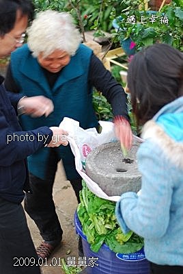 50表哥的菜園.jpg