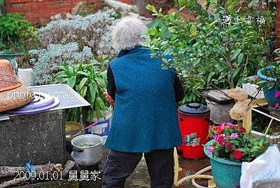 52表哥的菜園.jpg