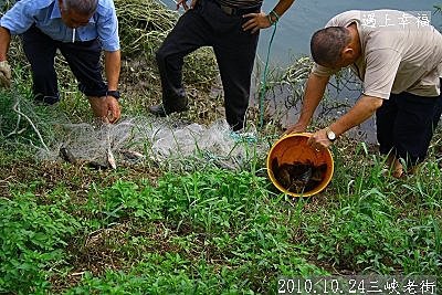 32 2010.10.24三峽老街 11.jpg