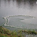 33 2010.10.24三峽老街 10.jpg