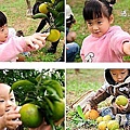 2 丫發果園.jpg