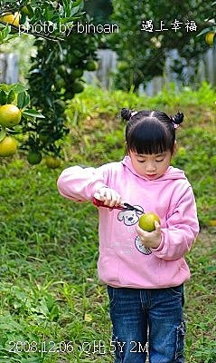 98丫發果園 柳丁園.jpg
