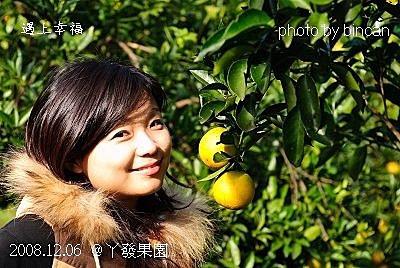 77丫發果園 柳丁園.jpg
