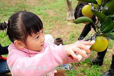 48丫發果園 橘子園.jpg