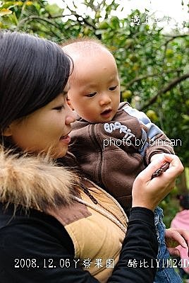 32丫發果園 柳丁園.jpg