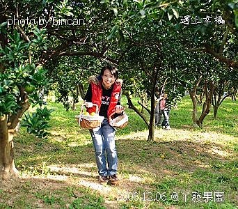 97丫發果園 柳丁園.jpg