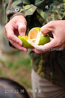 5 丫發果園.jpg