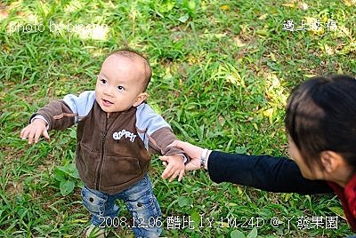 96丫發果園 柳丁園.jpg