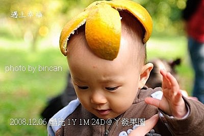 91丫發果園 柳丁園.jpg