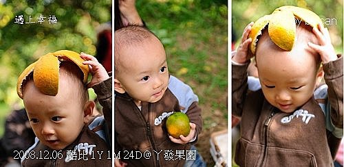 92丫發果園 柳丁園.jpg