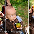 92丫發果園 柳丁園.jpg
