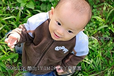 90丫發果園 柳丁園.jpg