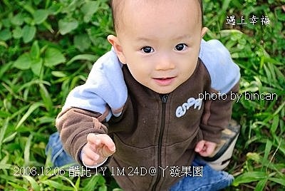 88丫發果園 柳丁園.jpg