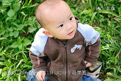 87丫發果園 柳丁園.jpg
