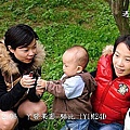 29丫發果園 柳丁園.jpg