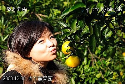 78丫發果園 柳丁園.jpg