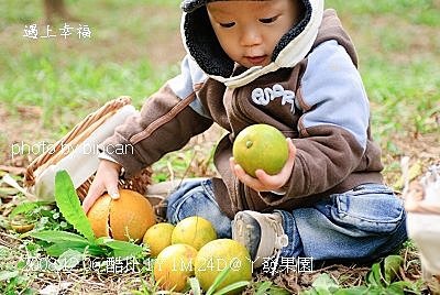 66丫發果園 柳丁園.jpg