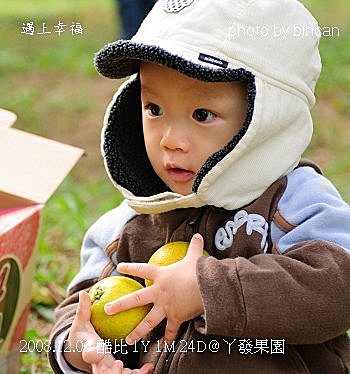 64丫發果園 柳丁園.jpg