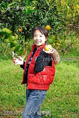 62丫發果園 柳丁園.jpg