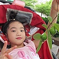09-20110812Q比出門走走去 06.jpg