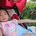 09-2011.08.17 住家附近走走 18.jp