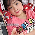 09-2011.09.02戶外上課去01.jpg