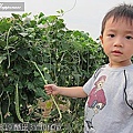 08-2011.08.19 鄉間小道走走 15.jp