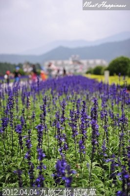 43-2012.04.04 九旅之旅05.jpg