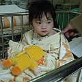 IMG_7300.jpg