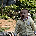 25canon350D @home試拍.jpg