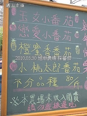 16 20100330 旭申農場 採蕃茄.jpg