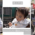 15 20100330 旭申農場 採蕃茄.jpg