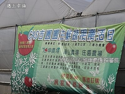 03 20100330 旭申農場 採蕃茄.jpg