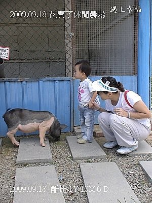 01花開了休閒農場2009-09-18.jpg