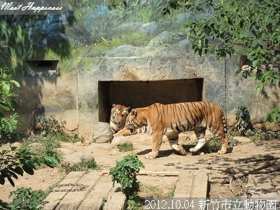 02-20121004新竹市立動物園18.jpg