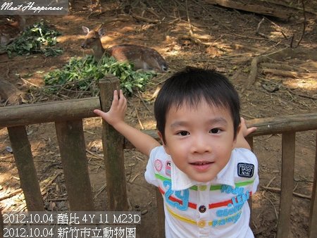 07-20121004新竹市立動物園13.jpg