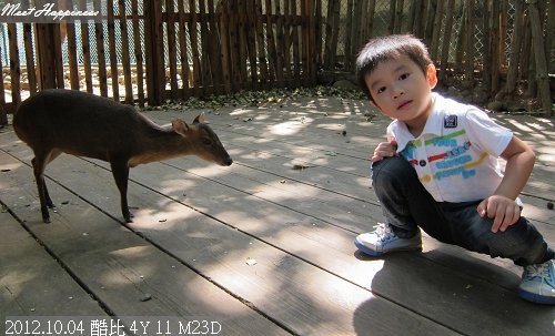 09-20121004新竹市立動物園11.jpg