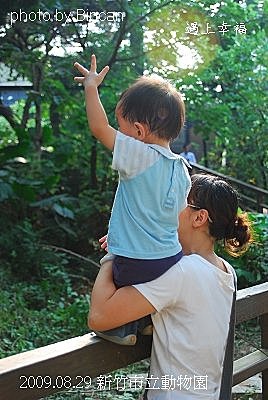 50新竹市立動物園 駱鳥 .jpg