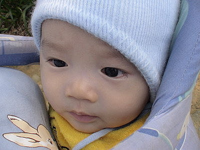 DSC02137.jpg