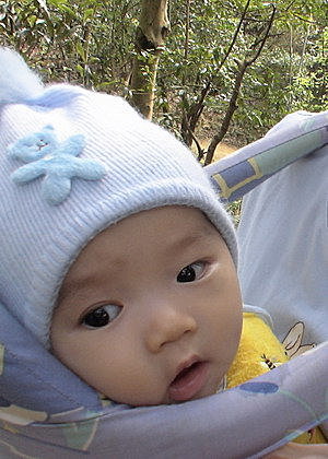 DSC02113.jpg
