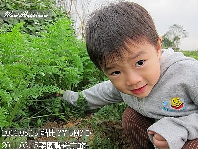25-2011.03.15菜園驚奇之旅 06.jpg