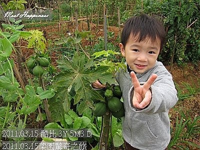 26-2011.03.15菜園驚奇之旅 05.jpg
