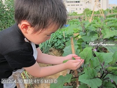 11-2012.04.30田園驚奇 13.jpg