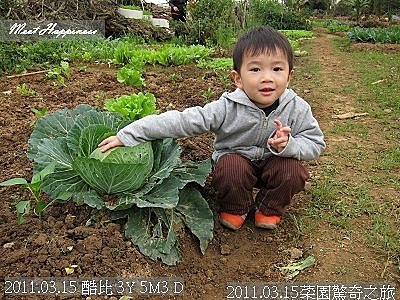 28-2011.03.15菜園驚奇之旅 03.jpg