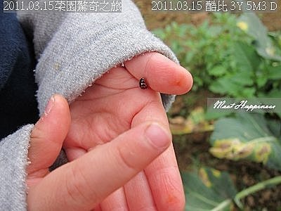 01-2011.03.15菜園驚奇之旅 30.jpg