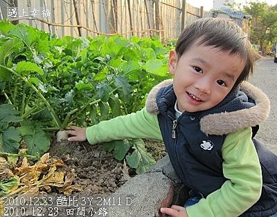 22 2010.12.23 田間小路 24.jpg