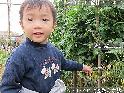 13-2011.03.15菜園驚奇之旅 18.jpg