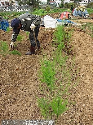 14-2011.03.15菜園驚奇之旅 17.jpg